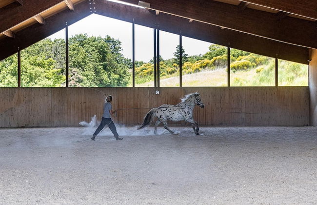 Si-h157-radi0at - Villa Airone 12 - Foto 36