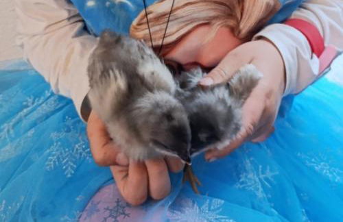 Ferienhof Broger FeWo Bergblickle mit Pool - Foto 20