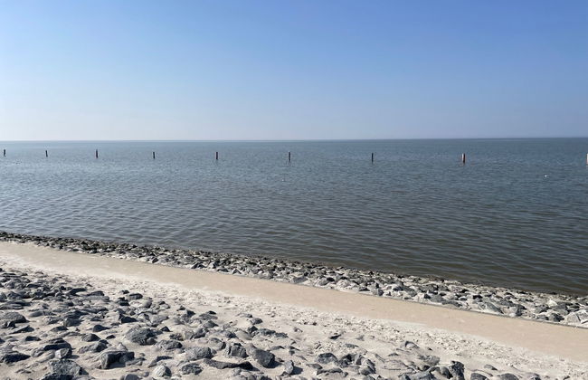 Deichblick - Foto 37