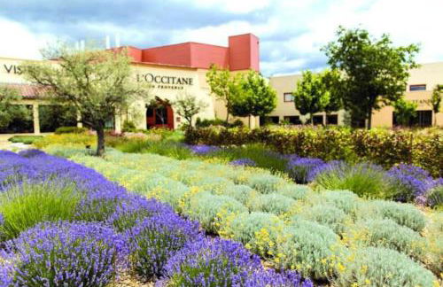 Maison au pays des lavandes et de la vigne - Foto 29