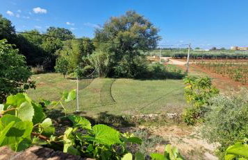 Villa Mimosa - Foto 62