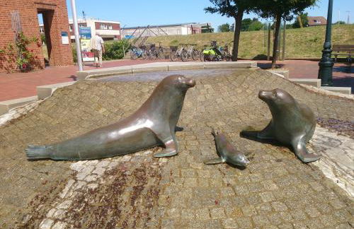 Midlum Zaunkönig - Foto 19