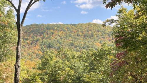 Montreat Round House - mountain views, renovated - Foto 5