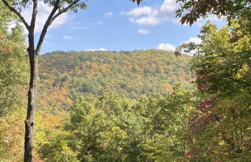 Montreat Round House - mountain views, renovated - Foto 5