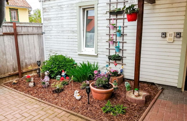 Forest Stay in Elbingerode - Foto 1