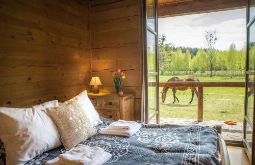 Zagroda Kuwasy - Foto 33