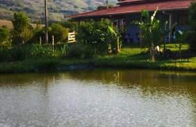 Chácara Bertelli - Foto 33