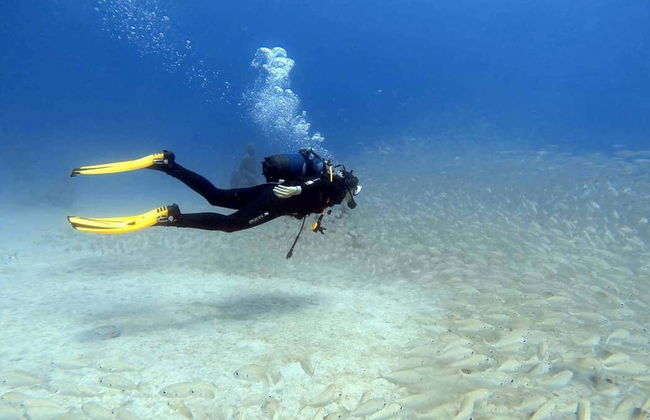 Playa Blanca Beginner Scuba Diving Experience - Photo 1
