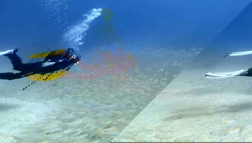 Swimming along the seabed