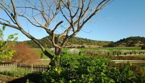 Casa Rural Torre Gargallo - Foto 4