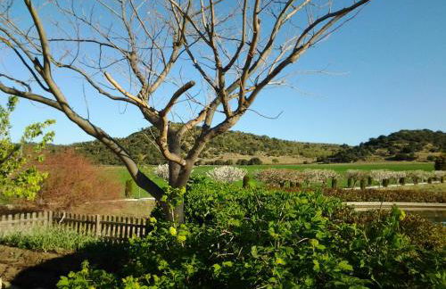 Casa Rural Torre Gargallo - Foto 4