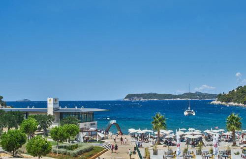 Aspidistra Shadow - Foto 26