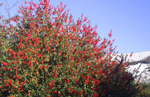 Apartamentos Peña Ubiña - Foto 8
