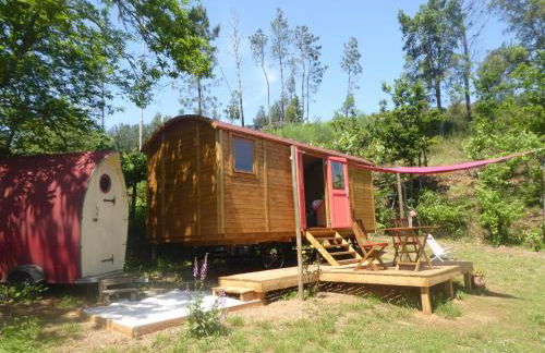 Rosa the Cosy Cabin - Gypsy Wagon - Shepherds Hut, RIVER VIEWS Off-grid eco living - Foto 1