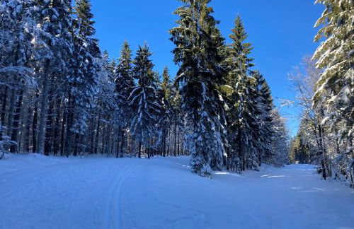 Aotearoa - Mountain apartment in Bavaria, Mitterdorf - Mitterfirmiansreut - Foto 36