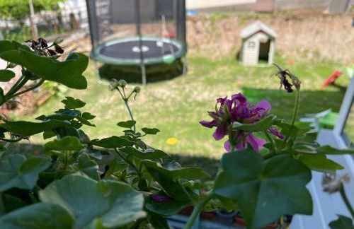 Rey residence - Foto 15