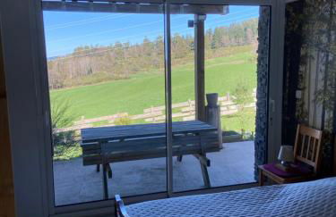 Chalet bois au calme, en lisière de forêt, balcons, sentiers balades Gérardmer & Alsace "Chalet Mon beau sapin" - Foto 18