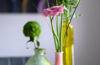 Die Nummer eins - Ferienwohnungen Hufnagel - Foto 58