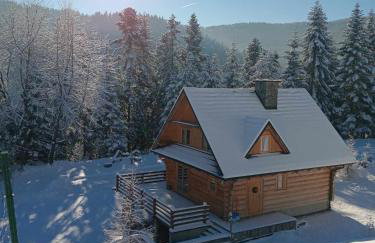 Chata na Kowalówkach - domek w górach - blisko szlaków i wyciągu - Foto 62