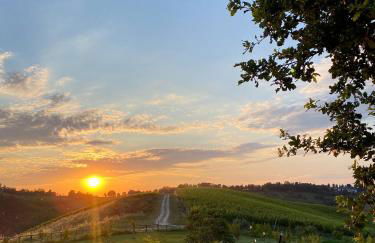 Corte D'Aibo - Photo 10