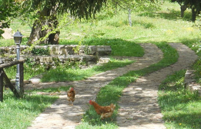 l'antico casale - Photo 18