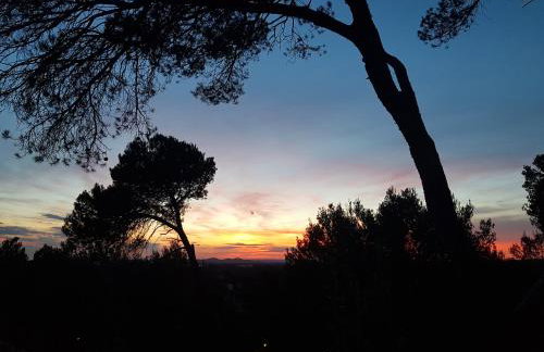 L'Arinelle en Provence - Foto 4