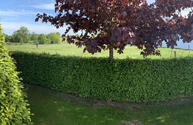 Cozy Chalet With Pond, Malmedy - Foto 33