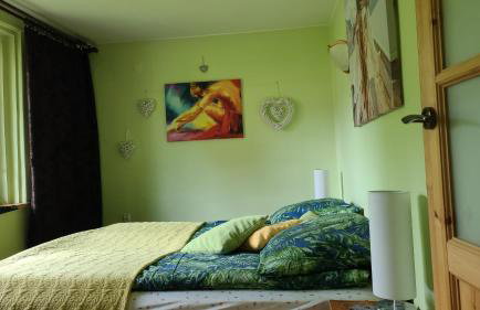 Zielony Domek - Tleń Bory Tucholskie - Foto 23