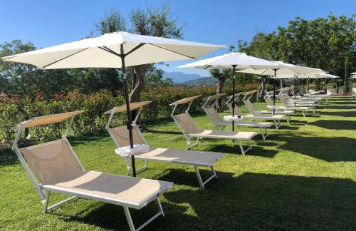 Il poggio degli antichi sapori - Foto 6