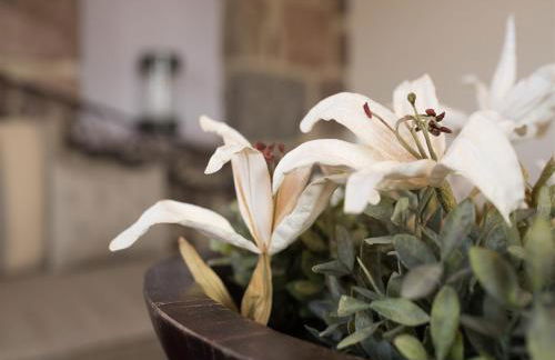 Moongarden - Foto 56