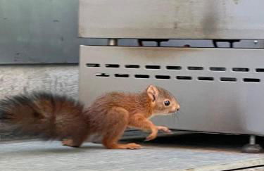 La Franqui Vue Mer Exceptionnel - Foto 40