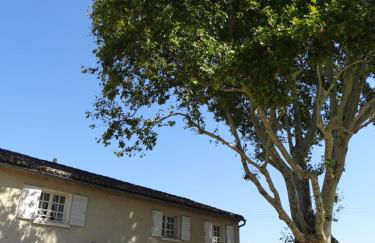 Logement charme provençal - Foto 22