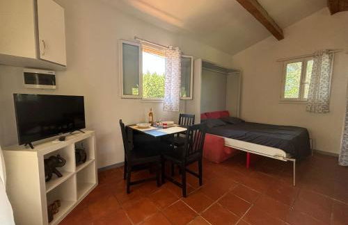 Studio terrasse - Foto 8