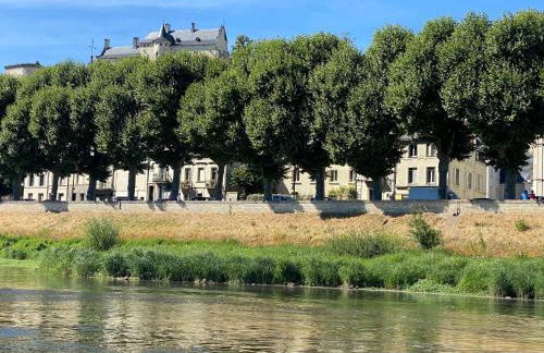 Le Charles VII CHINON - Foto 19