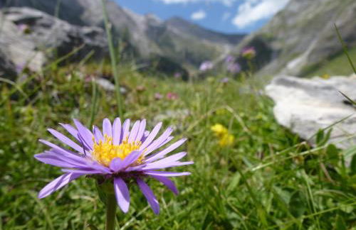 Metsola Apartamentos Rurales - Foto 50