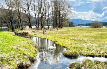 Moderne, 1-Zimmer Ferienwohnung mit Bergblick - Foto 15