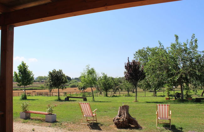 Agriturismo San Matteo - Foto 20