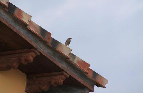 Casa Rural Atalaya House - Foto 57