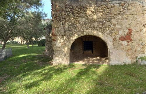 Villa Carboni - Foto 19