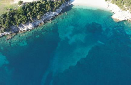 Beachfront Houses - Foto 15