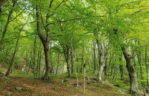 Locazione Turistica Arcobaleno "Family Loft" - Foto 32