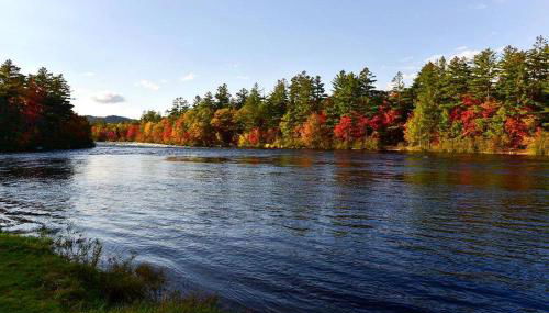 Homey Cabin Rentals Nestled in Nature along Kennebec River, Maine - Foto 4