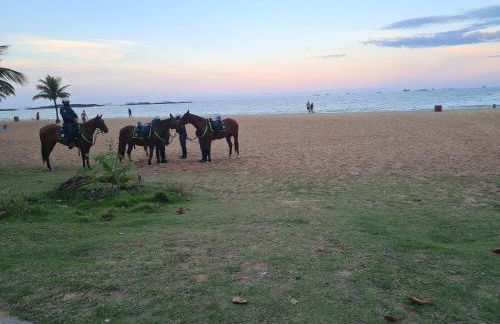 Pasárgada 812, academia e piscinas aquecidas - Foto 16
