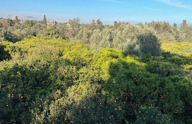 Pietra Rossa - Foto 43