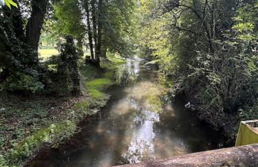 Le nid de Sitelle, appartement, piscine et sauna - Foto 47