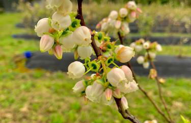 Quinta de Requeixo - Foto 62