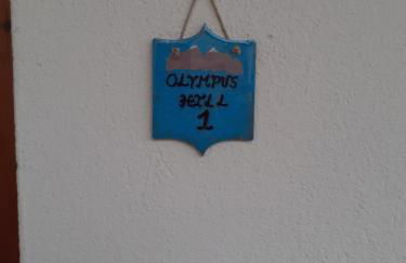 OLYMPUS HILL - Foto 8