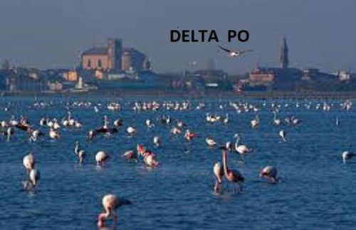 Mipro mobilhome 6 - Foto 66