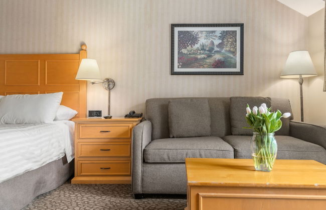 Pinnacle Hotel Whistler Village - Foto 4