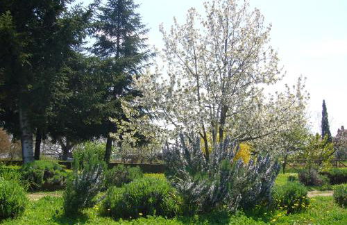 Agriturismo San Giacomo - Foto 49